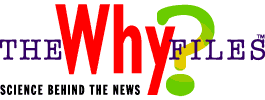 The Why Files, a magazine focusing on the science behind today's news stories