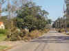 205.JPG (58529 bytes)