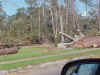 213.JPG (48434 bytes)