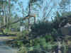 215.JPG (50913 bytes)